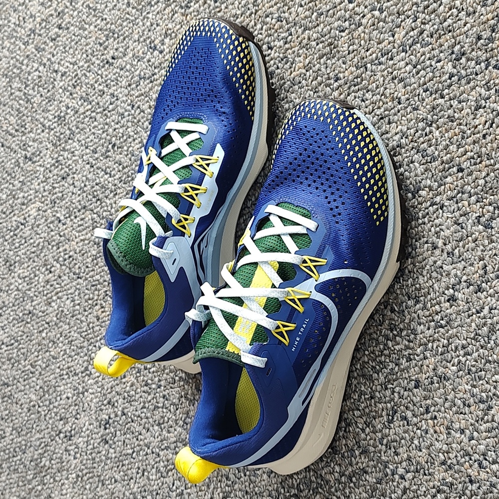 Nike Pegasus Trail 4 Running Shoe